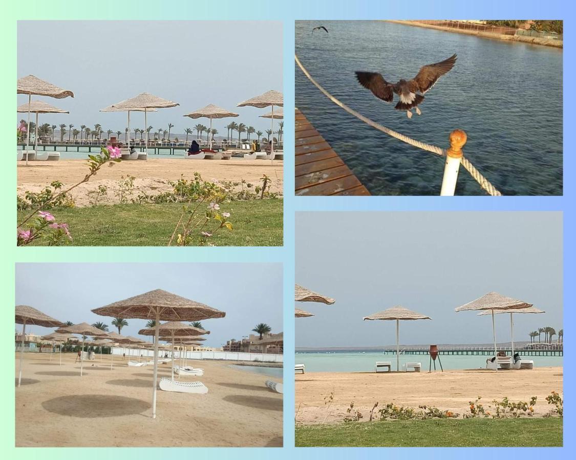 Scandic Resort In Hurghada, Egypt Екстериор снимка